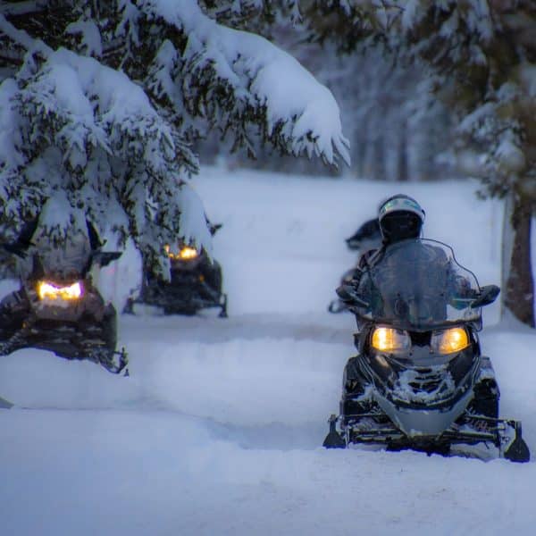 Four people ride snowmobiles through a snow-covered forest trail, their headlights glowing in the early evening light. Snow-laden trees surround the path, as local insurance agents ensure adventurers are protected in this wintry scene.