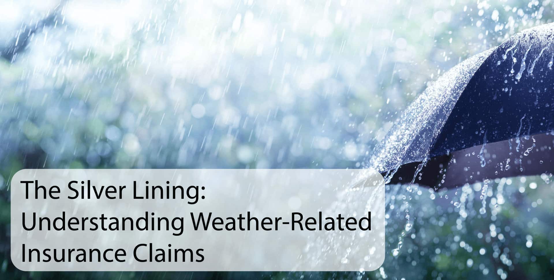 A close-up of a black umbrella in heavy rain, with sunlight shining through. Text overlay reads, The Silver Lining: Understanding Weather-Related Insurance Claims.